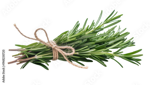 Obraz na plátně Fresh vibrant sprigs of aromatic rosemary tied with rustic brown twine, isolated
