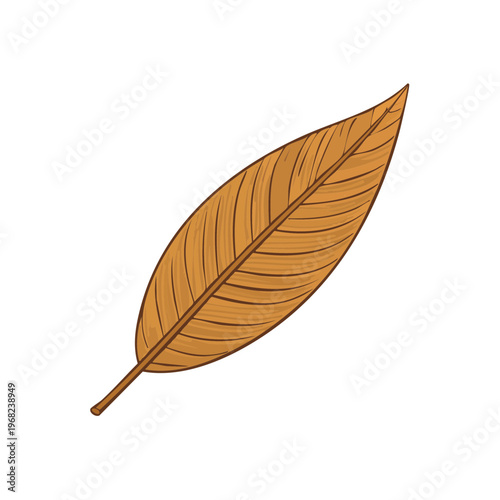 Detailed Illustration of a Single Dry Autumn Leaf with Veins