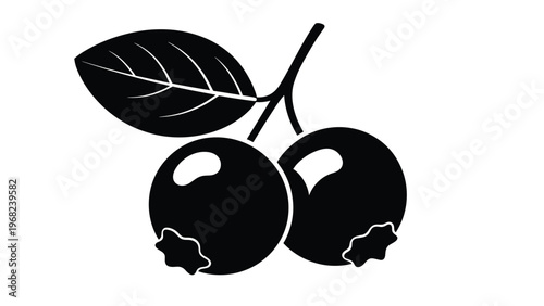 Solid black silhouette of a branch with two blueberries and a single leaf with white highlight details on white.
