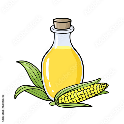 Bottle of golden corn oil with fresh corn cob and green leaves illustration