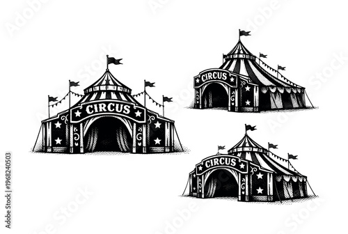 Big top entrance A realistic circus big top entrance facade with arched opening, decorative panels, and structural framing, shown in three views including