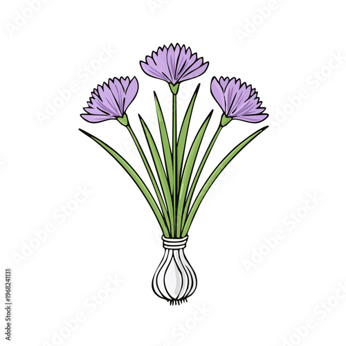 Three delicate purple chive blossoms emerging from a bulb in a simple illustration style