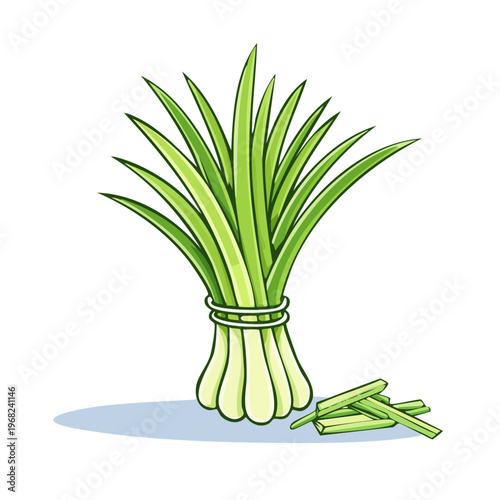 Fresh bundle of green lemongrass stalks and cut pieces isolated on white