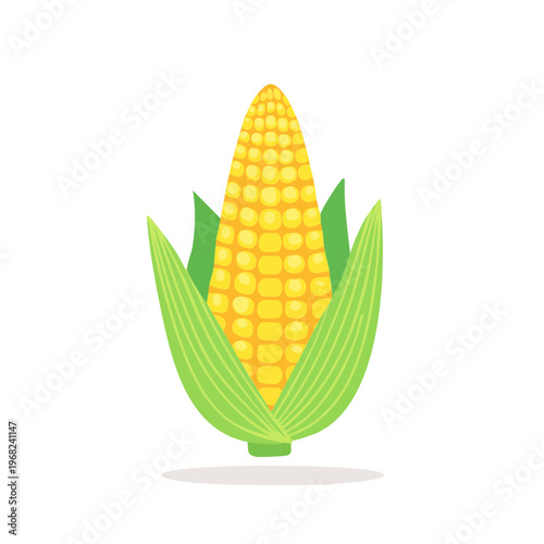 Fresh Yellow Corn Cob with Green Husks Illustration