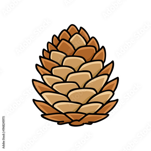 Illustration of a single brown pine cone with detailed scales and a black outline