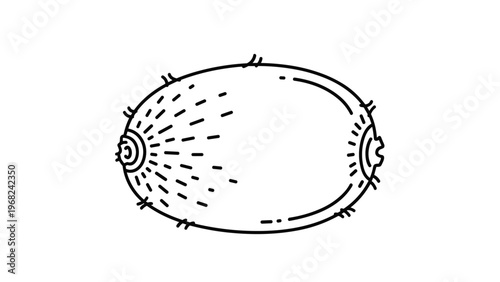 Simple black and white line drawing of a whole kiwi fruit for food coloring page or grocery store design.
