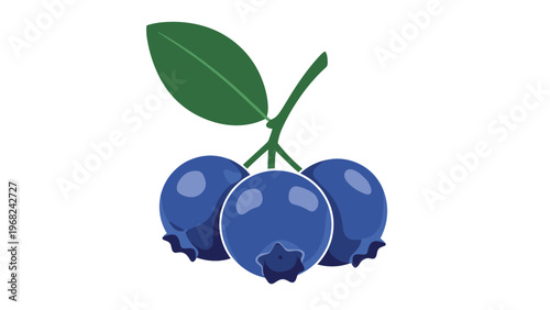 Realistic vector illustration of three ripe blue blueberries on a stem with a fresh green leaf over a white background.