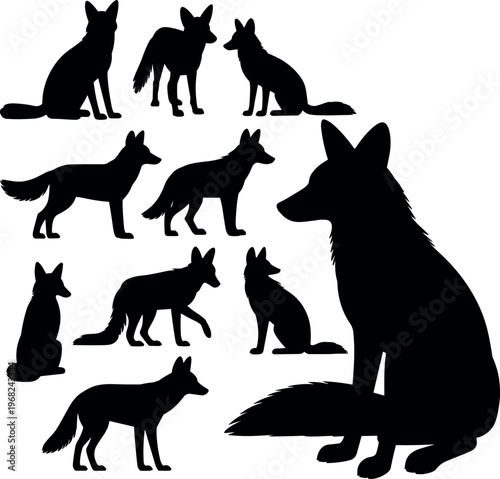 Canvas Print Silhouette of foxes collection, wild animals set with different poses, forest wi