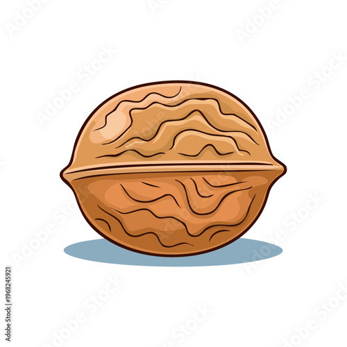Stylized Illustration of a Single Brown Walnut with Detailed Texture