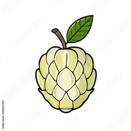 Sweet Custard Apple Fruit with Green Leaf and Brown Stem Simple Vector Illustration