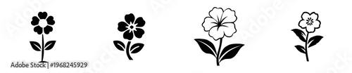 Blooming Solitude - A Single Flower's Journey