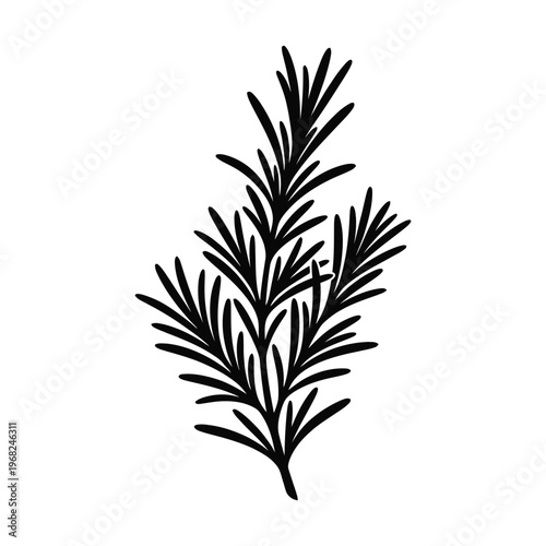 Black silhouette of a sprig of rosemary white herb plant