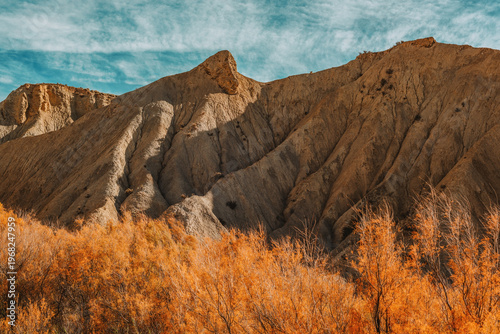 Steep mountains in arid semi desert landscape with brown colored trees and vegetation under a blue sky with some thin clouds. Desierto de Tabernas, Almeria, Andalusia, Spain.