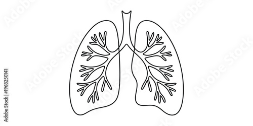 Minimalist Continuous Line Human Lungs Vector Illustration