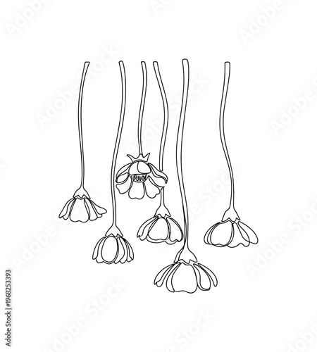 Hanging Flowers. Minimalistic one-line drawing flowers suspended with bent stems, continuous single black line on white background, simple outline style, no