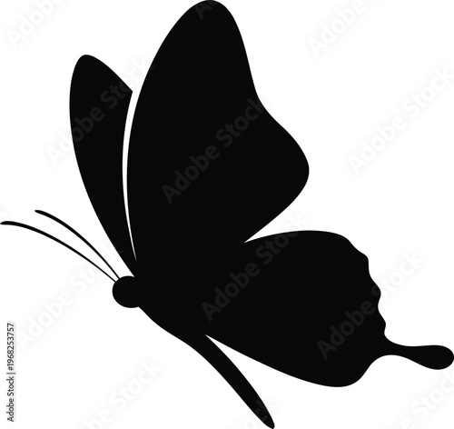 Silhouette butterfly flying isolated on white vector illustration
