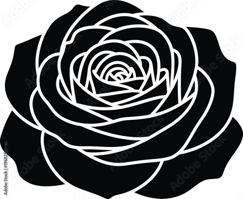 Silhouette elegant blooming rose flower head with detailed petals graphic vector illustration