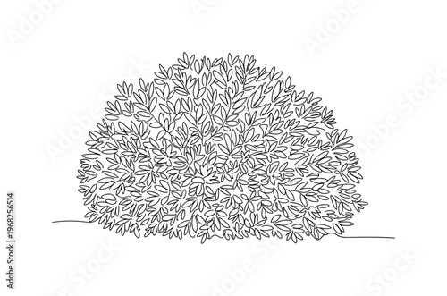 Bushy Plant. Minimalistic one-line drawing shrub with dense foliage, continuous single black line on white background, simple outline style, no shading, no