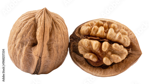 Fotografía Whole walnut shell with intricate textured surface and cracked walnut revealing