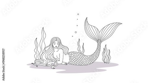 Graceful mermaid with long flowing hair and a detailed scales tail lying among seaweed in a black and white.