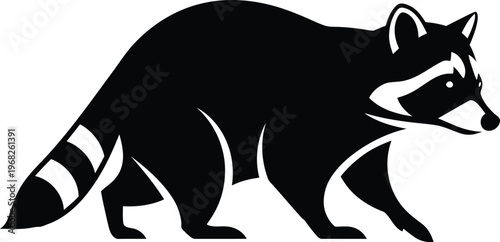 Silhouette of a wild raccoon walking in a side view vector illustration