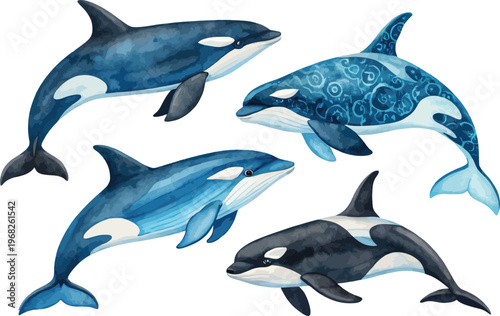 set of Watercolor Orca, Killer Whale Clipart, vector illustration isolated on white background