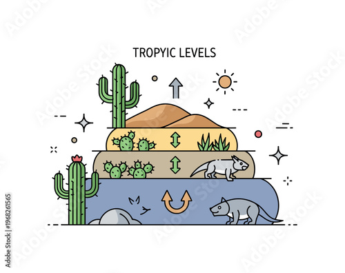 Trophic levels desert ecosystem scene where cacti, herbivores, and predators are shown in layered feeding levels while small sparkle and sun icons emphasize