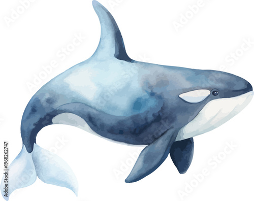 Watercolor Killer Whale Clipart, Marine Wildlife Art, Isolated on White
