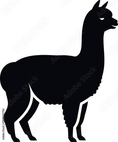 Silhouette profile of a standing domestic alpaca animal for nature vector illustration