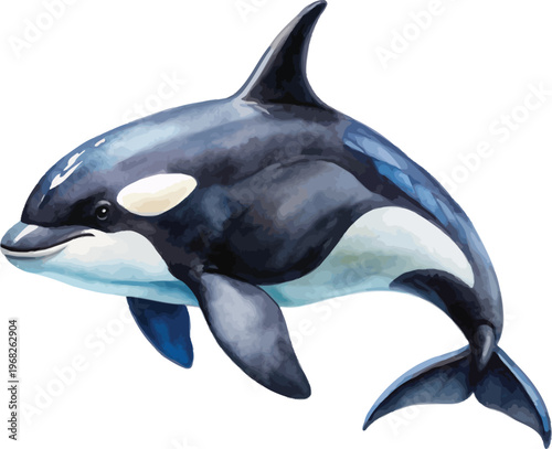 Orca Watercolor, Ocean Predator Vector, Isolated Animal Illustration
