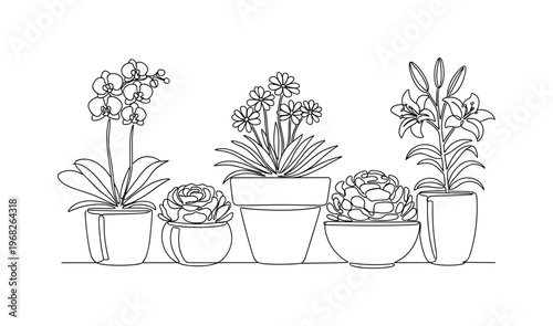 Decorative Blooms. Minimalistic one-line drawing flowering plants in stylish pots for home decor, continuous single black line on white background, simple