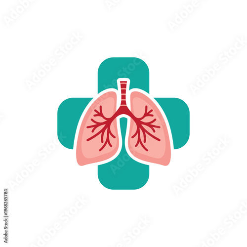 human lungs anatomy illustration