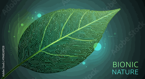 Closeup of a green leaf.