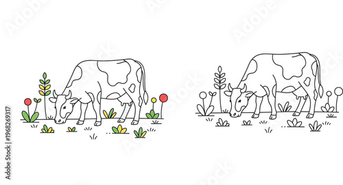 Cow Grazing in a Field with Flowers Vector Illustration Set, Minimalist Line Art Style Featuring Colored and Black and White Versions for Coloring Book, Farm Animals and Nature Design