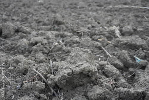 Dry Soil with Rocks and Twigs
