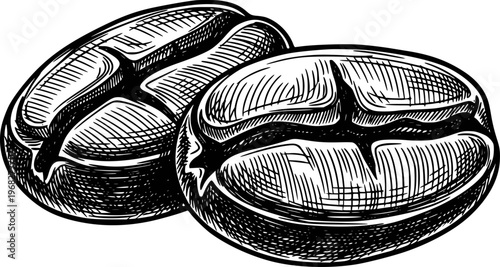 Detailed black and white hand drawn coffee beans with a split down the middle a white background