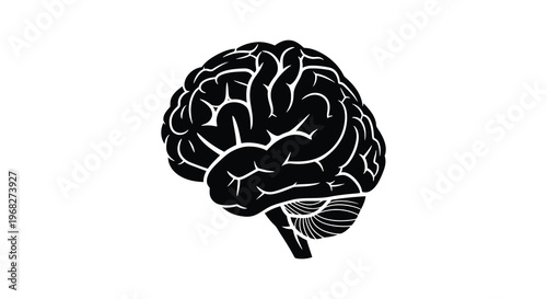 Detailed human brain illustration presented as a striking black silhouette