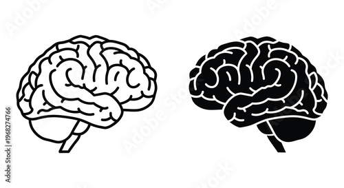 Two human brains one shaded and one black shown as a silhouette