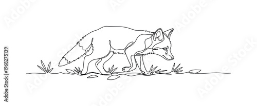 Baby Fox Cub. Minimalistic one-line drawing fox cub walking in forest floor, continuous single black line on white background, simple outline style, no