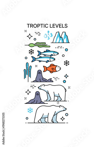 Trophic levels arctic food chain concept where phytoplankton, fish, seals, and polar bears are arranged in vertical layers while tiny sparkle and snowflake