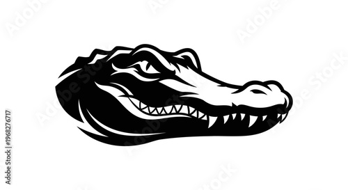 Alligator head in black and white, fierce and powerful.