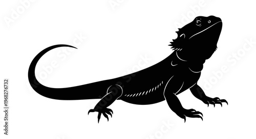 Bearded Dragon Lizard Reptile Silhouette Isolated on White Background.