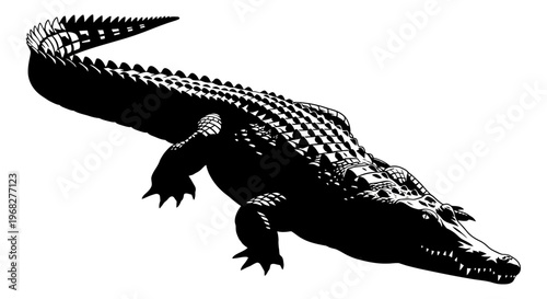 Alligator or crocodile, a large predatory reptile.