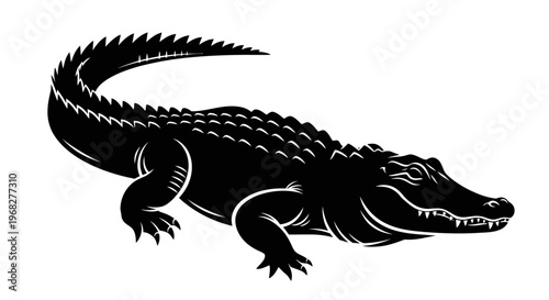 Alligator or crocodile in black and white, isolated on a white background.