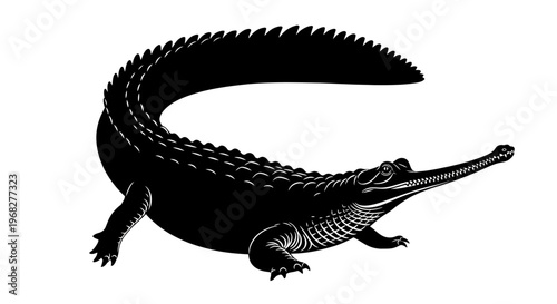 Black and white illustration of a gharial, a long-snouted crocodile species.