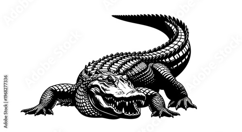 Powerful Alligator Illustration in Black and White.