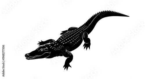 Alligator or crocodile isolated on a white background.