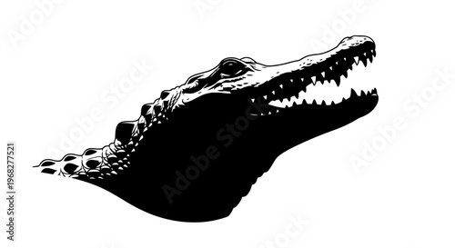 Close up of an alligator head with its mouth open, in black and white.