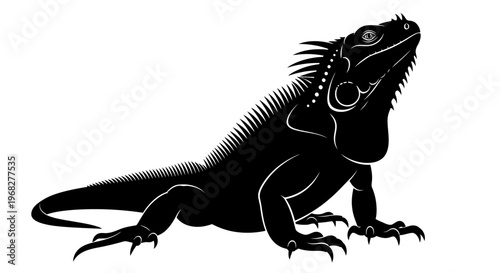 Black and white silhouette of an iguana looking up.
