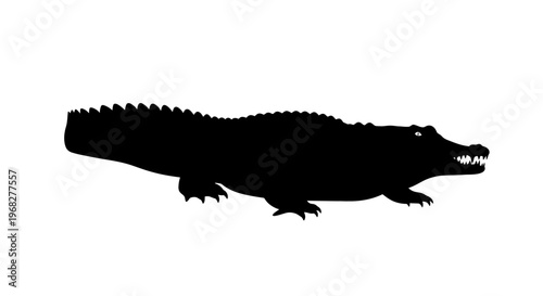 Alligator or crocodile silhouette, isolated on a white background.